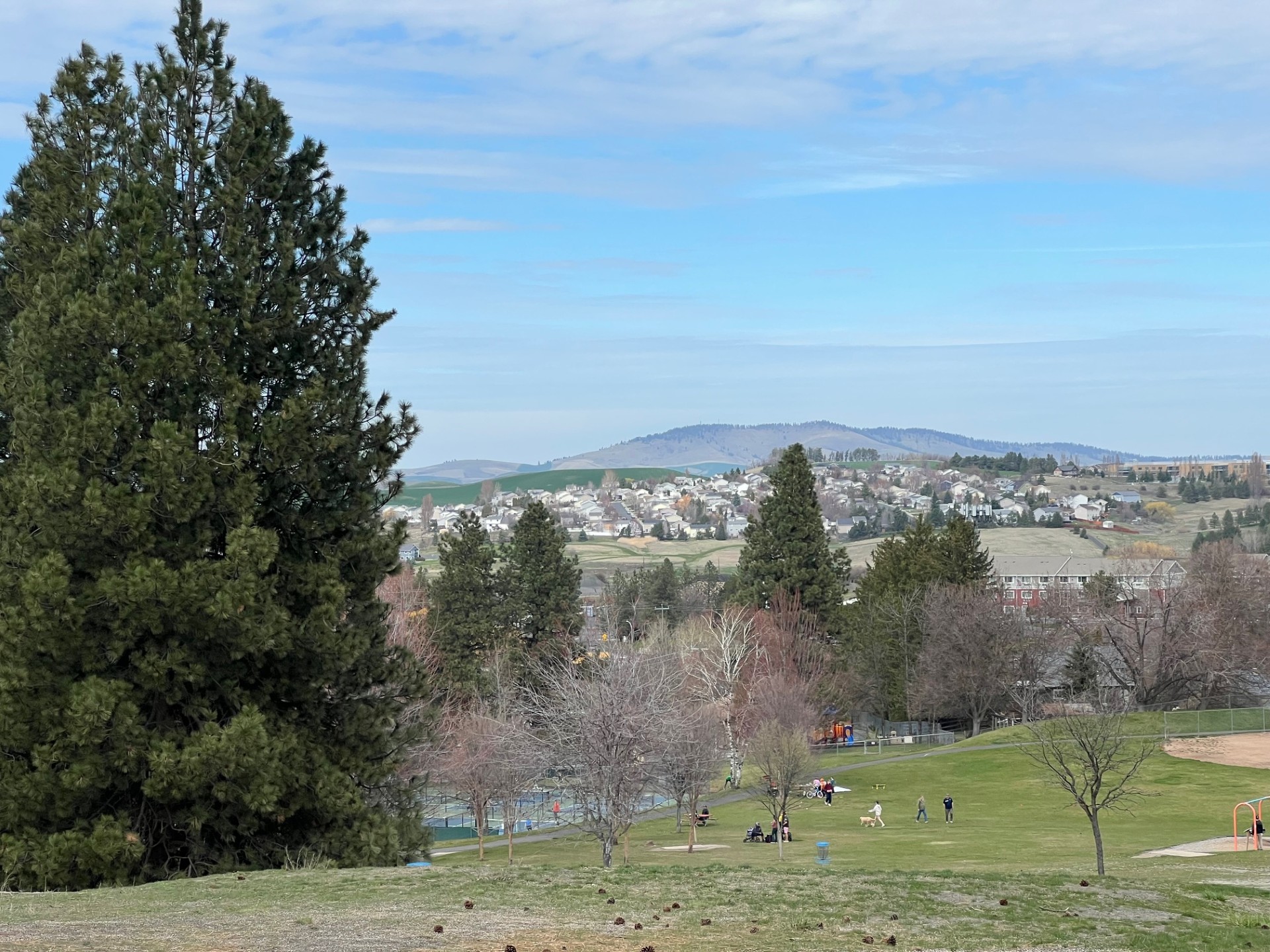 The Palouse landscape near Pullman