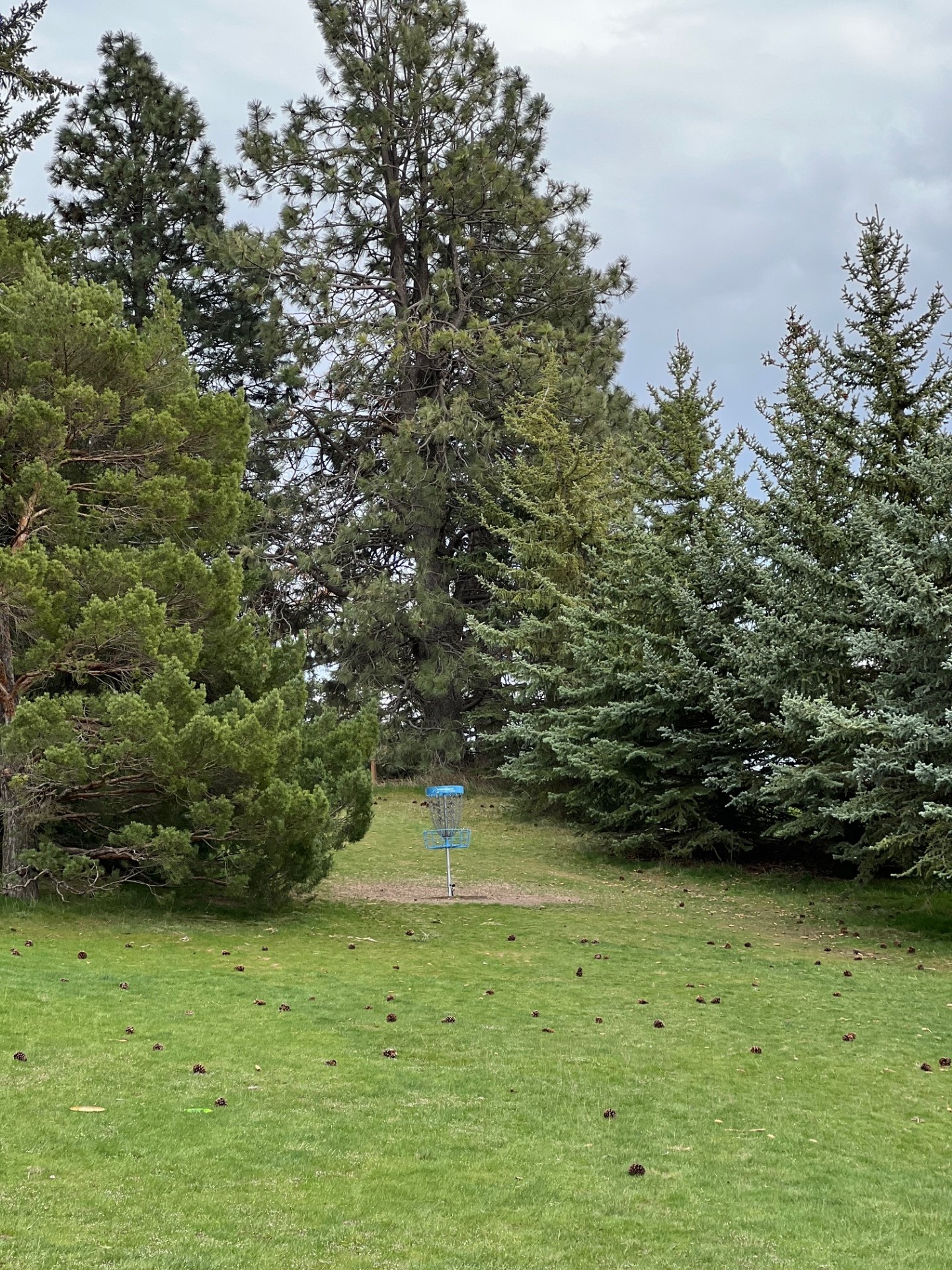 Beautiful views on the course