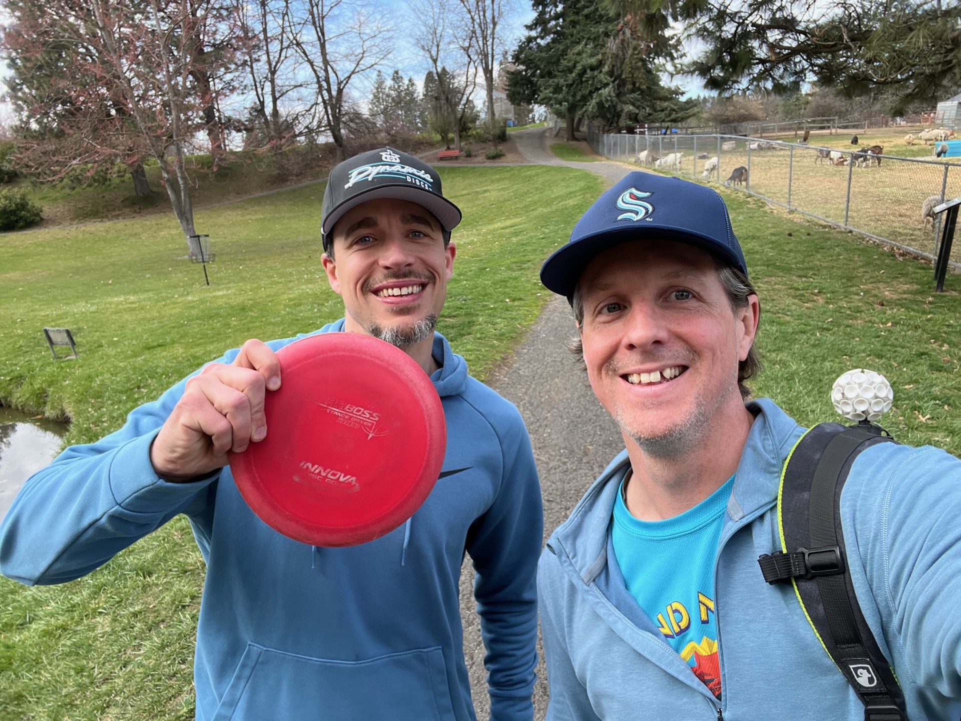 Disc rescue mission